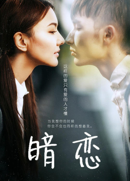 塔兰托音乐学院机械工程文凭证书